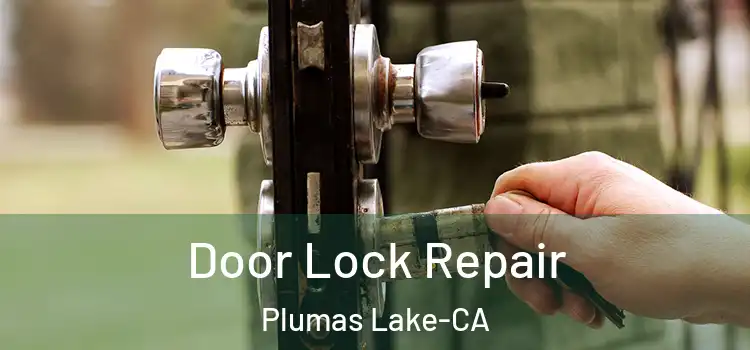 Door Lock Repair Plumas Lake-CA