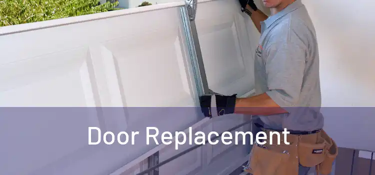  Door Replacement 