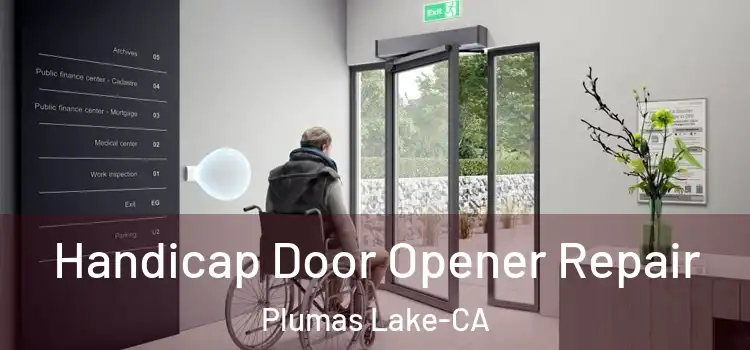 Handicap Door Opener Repair Plumas Lake-CA