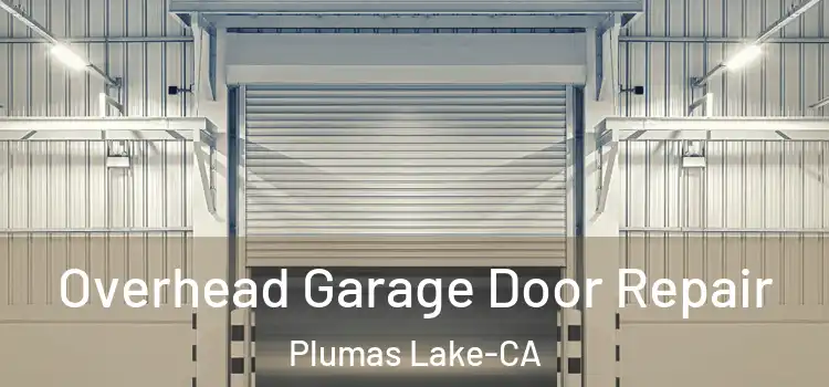 Overhead Garage Door Repair Plumas Lake-CA